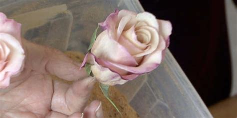 She Shows Us How To Preserve Those Beautiful Flowers You Receive On ...