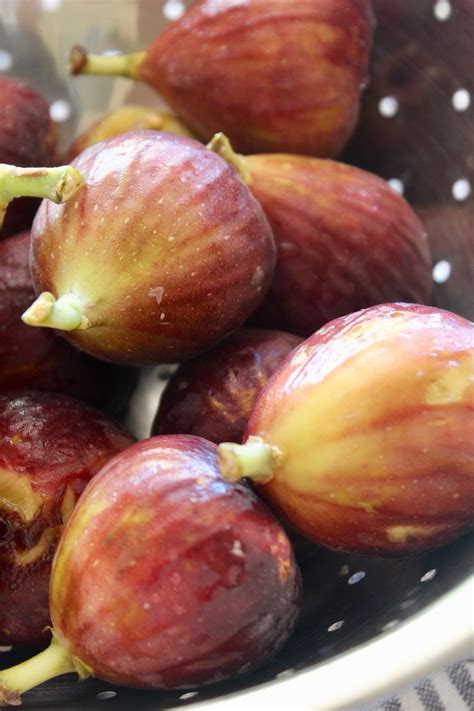 how to make fig preserves 4