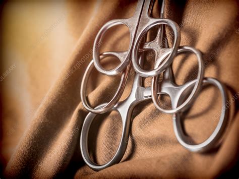 surgical scissors stock image  science photo library