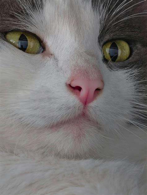 Gratuitous+Nudity+In+Anime+Compilation Photos, Download The BEST Free