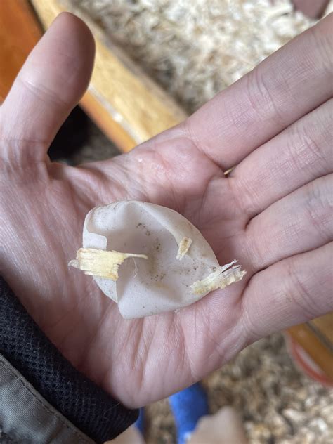 We didn’t find the inside | Scrolller