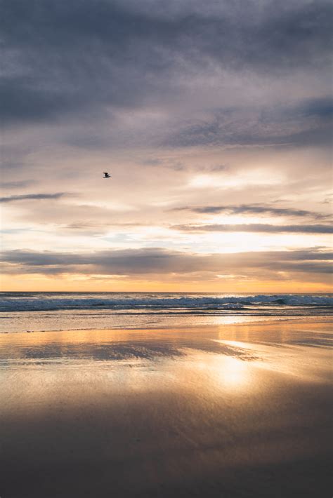 Beach Scenery at Sunset - Photos by Canva