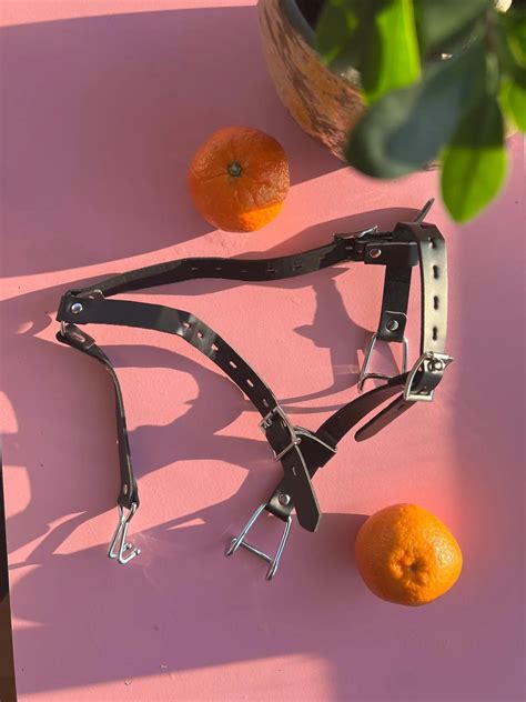 The Love Peach BDSM - Nose Hook