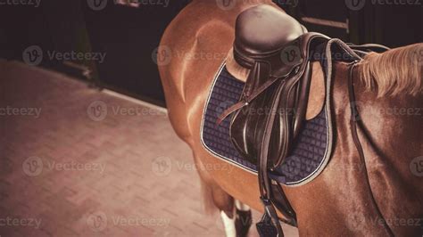 Equestrian Equipment Stock Photos, Images and Backgrounds for Free Download