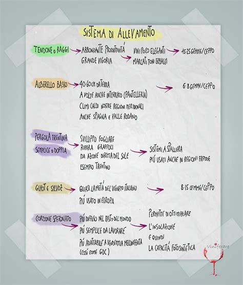 La Vite Variet Impianto E Potatura 3