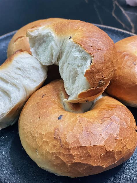 【bagel贝果🥯图片】哈桑echo…