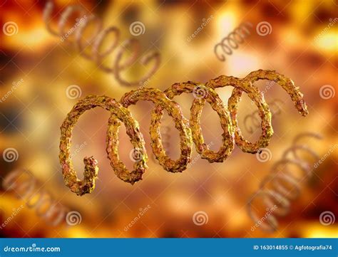 syphilis chancre treponema pallidum vector illustration