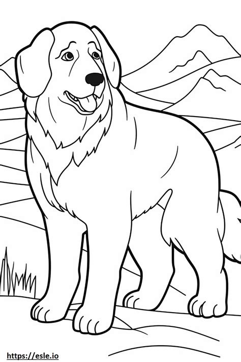 Bernese Mountain Dog happy coloring page