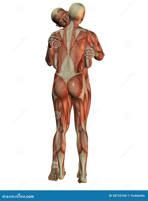 Anatomy Of A Hug 3