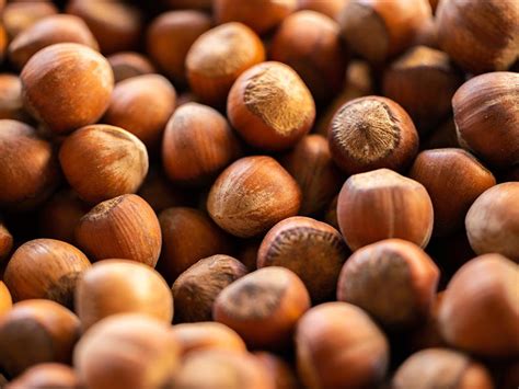 bio haselnuesse biokorntakt