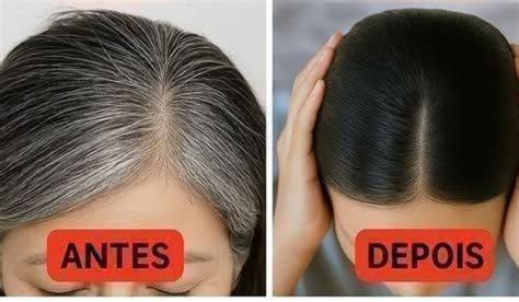 Tinturas Cabelos Brancos - Tinta Natural para Cabelos Brancos: Receita e 100% Segura