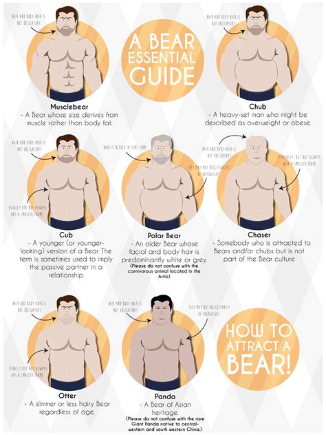 The Definite Guide to Gay Bear Species