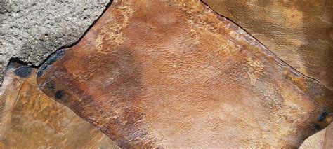 Grown leather from mother yeast: invention of HER | tocco | tocco