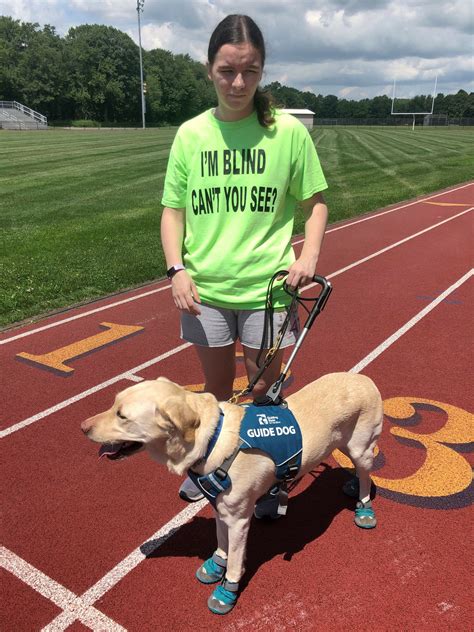 Guide dogs helping blind runners stay fit despite pandemic | AP News