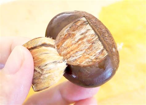 Easy Chestnut Peeling and Boiling] Easy preparation of chestnuts, even ...