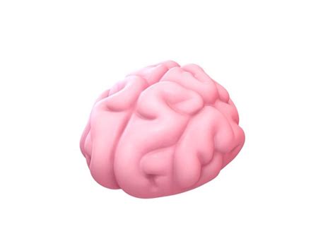 Brain Animation 3d