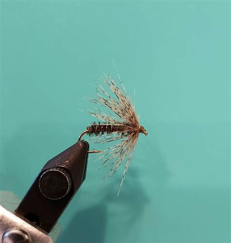 Less than 6 months of tying overall. This is my first Soft Hackle