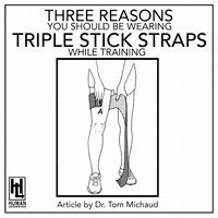 Lesbian Strap;on GIFs - Find & Share on GIPHY