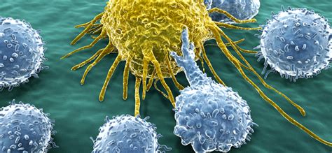 Inmunoterapia contra el cáncer - Cuaderno de Cultura Científica