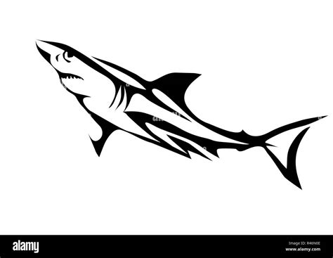 Great White Shark Black and White Stock Photos & Images - Alamy