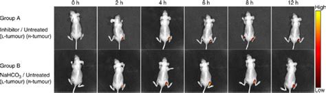 Dual-stimuli responsive and reversibly activatable theranostic ... 