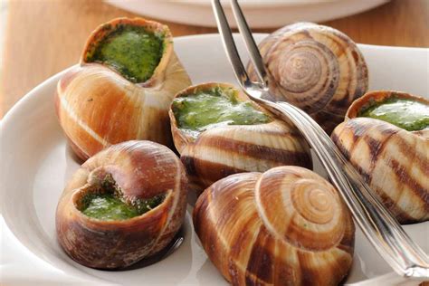 Escargot E Caramujo - Escargot é caracol? Conheça o clássico da gastronomia francesa ...