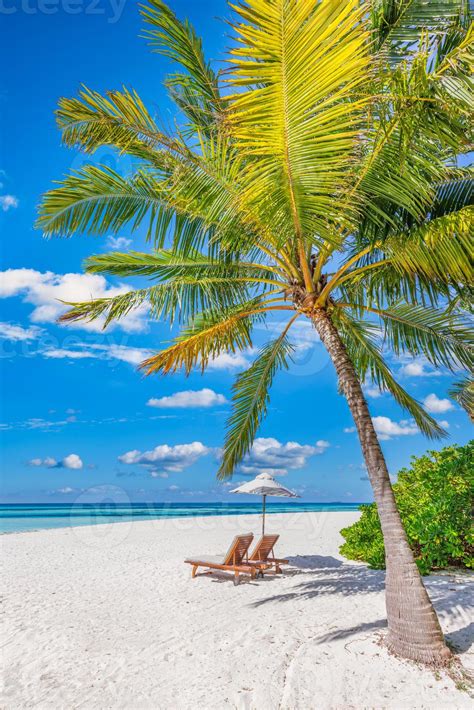 Beautiful panorama nature. Tropical sunny beach as summer island