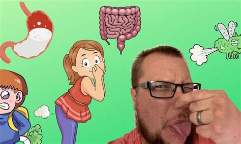What Is A Fart And Why Do They Stink? The Science Of Our Bodies ...