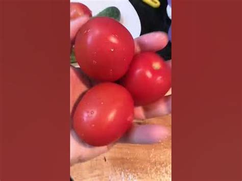 фунчеза с мясом и овощами #food #салат #кулинария - YouTube