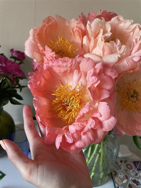 Что подарить 💐 цветочный блог компании АртФлора