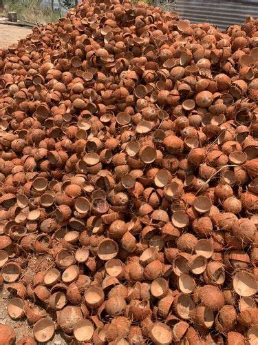 brown raw coconut shell packaging type loose  kg  kg
