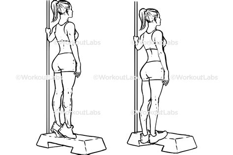 Bodyweight Calf Raises – WorkoutLabs Exercise Guide