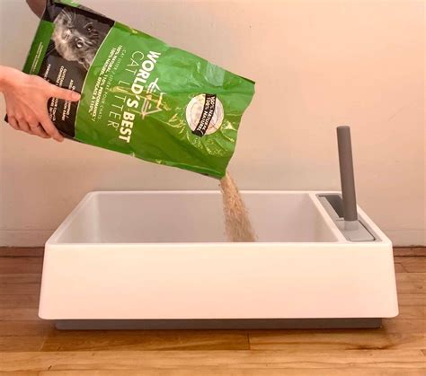 World’s Best Cat Litter: In-Depth Review (2024) – tuft + paw