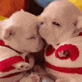 Gmail Dog GIF - Gmail Dog Puppy - Discover & Share GIFs