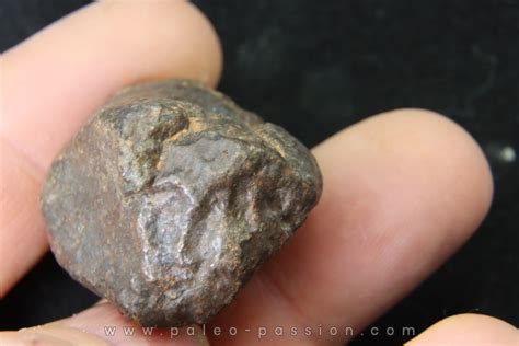 METEORITE Ordinary chondrite NWA