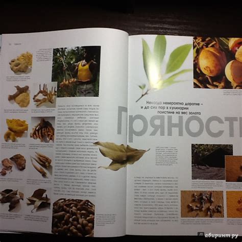 Книга: Кулинария. Весь мир продуктов питания - Кристиан Тойбнер. Купить ...