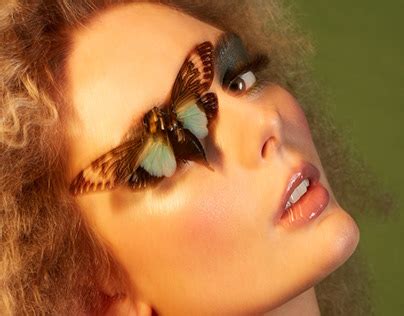 human   shell graduated project  behance