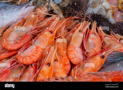 raw red prawns  counter  food market close  stock photo alamy