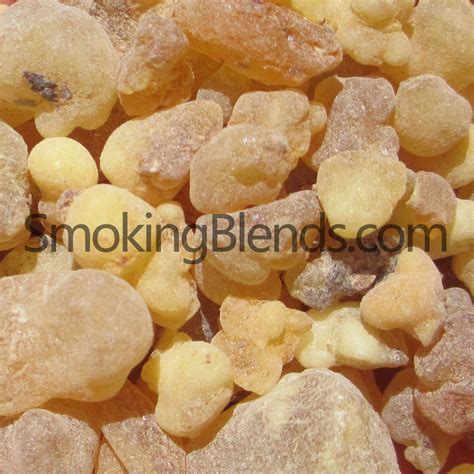Frankincense Incense | Boswellia Tree Resin