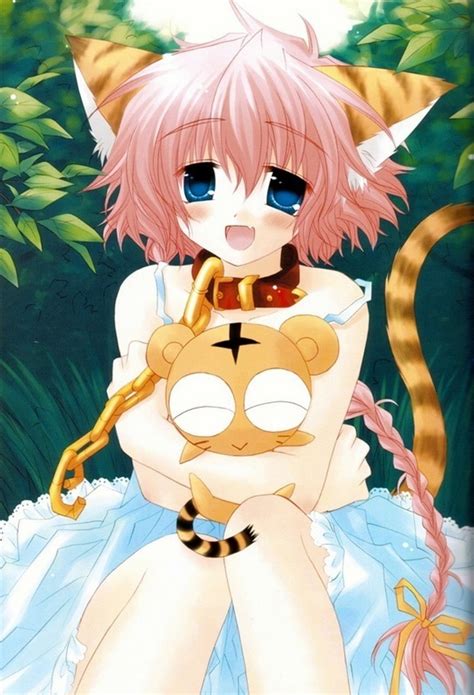 hey anime people, if you love anime cats click here - Anime - Fanpop