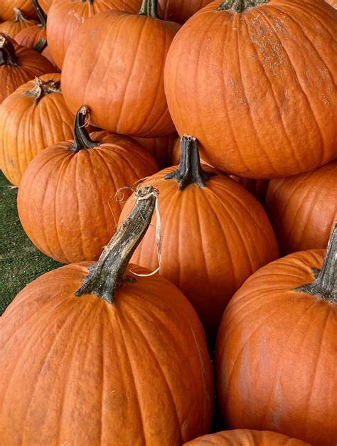 Pumpkin Tips