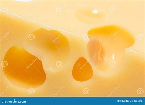 Cheese With Holes Royalty-Free Stock Photo | CartoonDealer.com #25893117