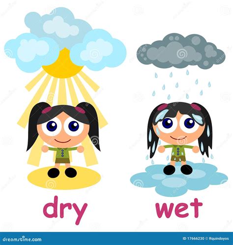 Dry Media Vs Wet Media at Whitney Johnson blog