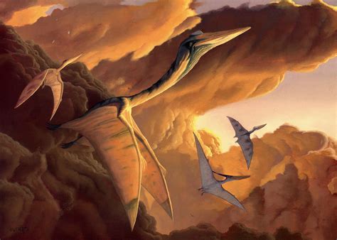 Quetzalcoatlus Wallpapers - Top Free Quetzalcoatlus Backgrounds ...
