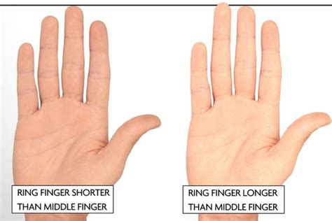 What It Means When A Man's Ring Finger Is Longer Than His Pointer ...
