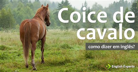 Como Se Escreve Coice - Como dizer "Coice de cavalo" em inglês - English Experts