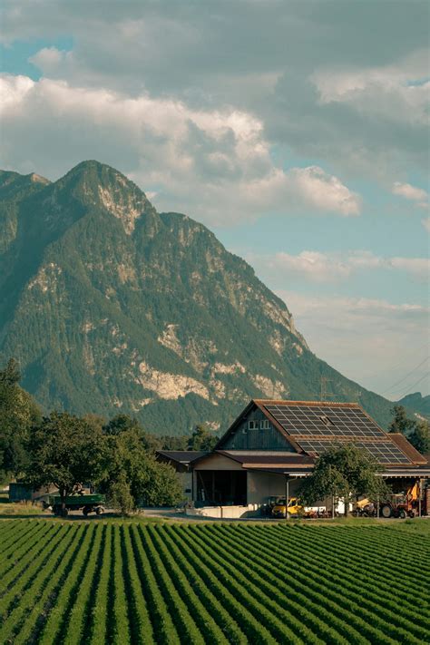 Large+Natural+Breasts+On+The+Beach Photos, Download The BEST Free Large