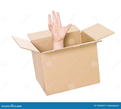 hand  cardboard box royalty  stock photography cartoondealer