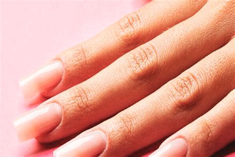 Qual Unha Dura Mais - Qual Dura Mais Unha De Gel Ou Fibra - RETOEDU