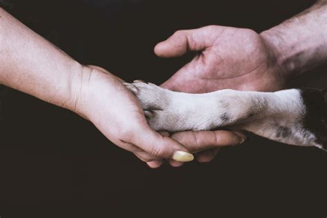 Jobs Mortuary Sumter SC: Your Partner in Compassionate End-of-Life Care Services 5